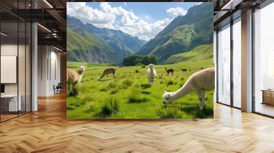 Furry baby alpacas grazing on fresh grass in a picturesque green valley. Wall mural