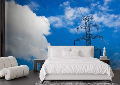 Power lines. Wall mural