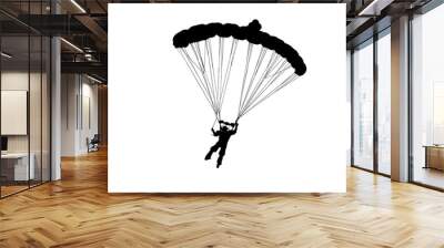 skydiver Wall mural