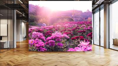 Pink flower garden Wall mural