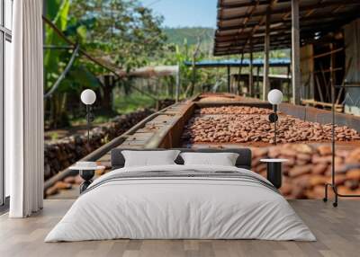 Cocoa farmers brown organic cocoa beans sun-drying on a cocoa farm. Wall mural