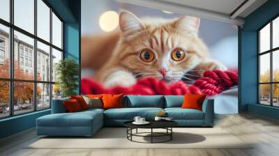 Cute Ginger Cat Playing with Red Yarn Wall mural