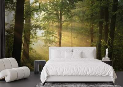 Country road through the forest on a foggy spring morning Wall mural