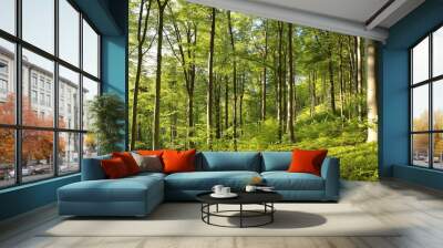 Spring beech forest Wall mural