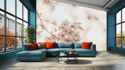  cherry blossom Wall mural