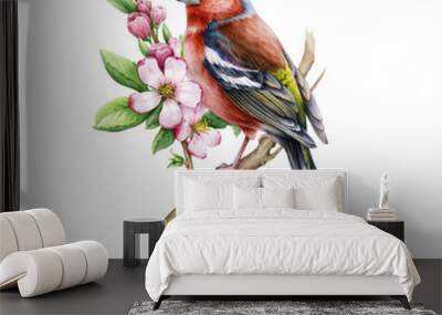 Chaffinch bird with pink apple tree flowers. Watercolor illustration. Hand drawn floral nature image. Chaffinch bird, spring tender blossoms realistic element. Songbird, flowers on white background Wall mural