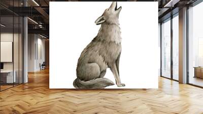 Howling wolf watercolor illustration. Grey wolf, coyot howl animal hand drawn image. Wildlife forest predator. Single howl lupus. Gray furry coyot animal sits Wall mural