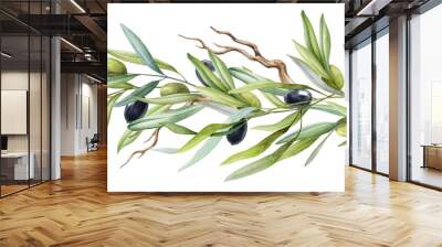 Olive tree branch seamless border with fruit and leaves watercolor element. Green and black raw organic olive natural decoration. Elegant branch border with green leaves, fruit on a white background. Wall mural