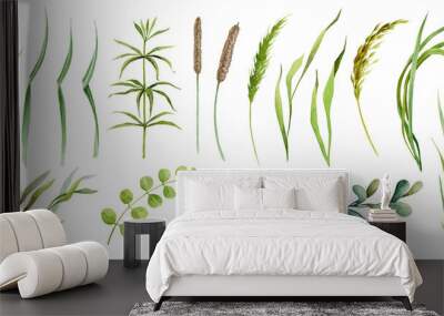 realistic green grass, herb and cereals spikelets plants watercolor set. different kind field grass, Wall mural