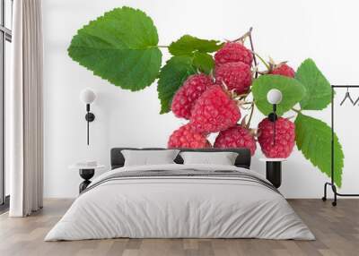 Raspberries isolated on white background cutout Wall mural