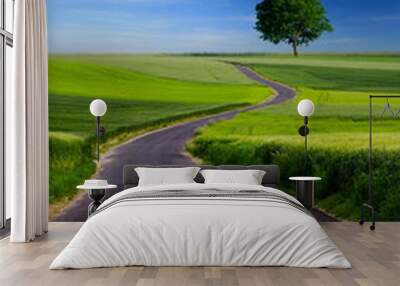 country road Wall mural