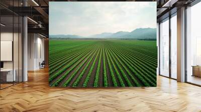 Aerial view of a large farm with crops stretching to the horizon Wall mural