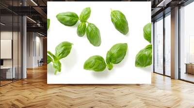 Mediterranean herbs: fresh basil. set of six isolated leaves, twigs and tips over a transparent background, subtle natural shadows, top view / flat lay Wall mural