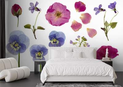 set / collection of pressed flowers isolated over a transparent background, roses, buds and petals, violets, pansies and lady's smock / meadow foam herb, cut-out floral herbarium design elements,  Wall mural