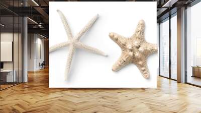 two different types of white starfish isolated over a transparent background, ocean / sea / beach /  Wall mural