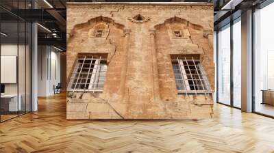 Two windows on the facade of a traditional house in the old town of Mardin, decorated with elaborate carved patterns and details, Mardin, Turkey Wall mural