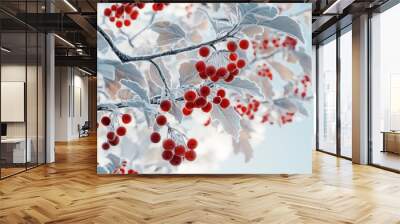 rowan branches covered with hoarfrost Wall mural