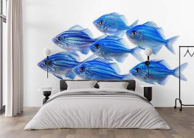 Tropical blue fish swimming in ocean  isolated on white. Wall mural