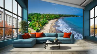 beach and trees Wall mural