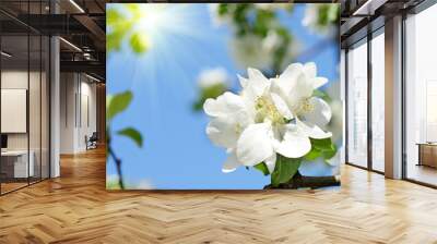 Beautiful apple blossoms against the sky on a sunny day in sprin Wall mural