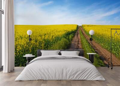 Beautiful landscape with road middle yellow field of rape on a s Wall mural