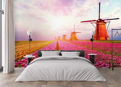 Beautiful magical spring landscape with a tulip field and windmills in the background of a cloudy sky in Holland at sunset. Charming places. Wall mural