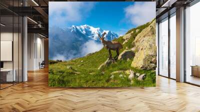 The mystical landscape of mountain shee near Mont Blanc in the F Wall mural