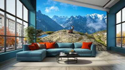 The mystical landscape of mountain sheep, which contemplates Mon Wall mural