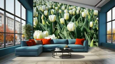 Tulips flower in the middle of the tulips field (natural backgro Wall mural