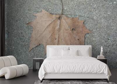 maple leaf on a stone Wall mural