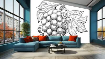 Sketch ink vintage grape with leaves illustration, draft  drawing, black isolated on white background. Food graphic etching design. Wall mural