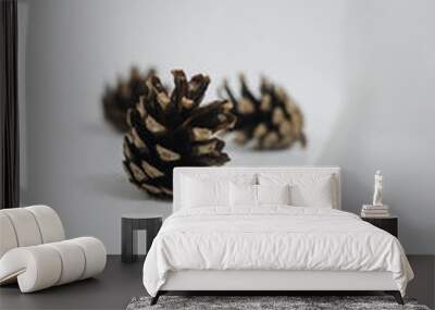 Pine cones on white background  Wall mural