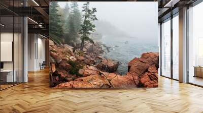 Coast of the Atlantic Ocean in the fog. Rocky beach with coniferous trees on the cliffs. Acadia National Park. Maine. USA. 
 Wall mural