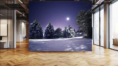 Night photo. Fluffy huge firs in the snow in a clearing. Winter night landscape. Wall mural