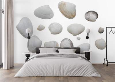 Seashells of various shapes and sizes. Isolate on white Wall mural