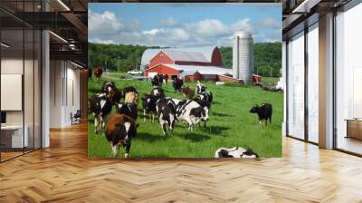 Vermont farm with cows going out to pasture Wall mural