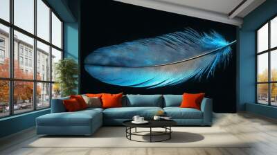   A close-up blue feather on a black background with a light illuminating its side Wall mural