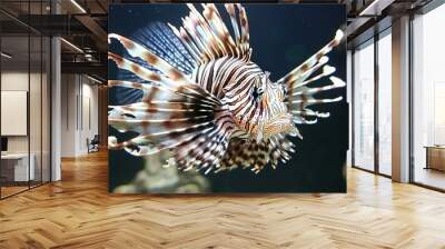   A close-up of a lionfish with corals and algae in an aquarium Wall mural