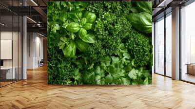   A close-up of various green leafy vegetables on a wall, including basil and broccoli Wall mural