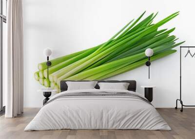   A close-up shot of fresh green onions on a pure white backdrop, featuring a clipping mask at the top of the image Wall mural