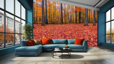   A dense forest brimming with tall trees adorned in vibrant red and golden foliage surrounds two similar forests Wall mural