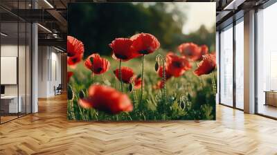   A field full of red flowers with the sun shining behind the trees on the horizon Wall mural