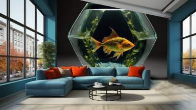  a goldfish in a fish bowl with algae in the bottom of the bowl and a black background with a black background and a black background.  generative ai Wall mural