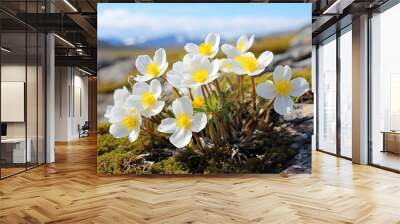  a group of white and yellow flowers sitting on top of a moss covered rock covered in lichen and moss.  generative ai Wall mural