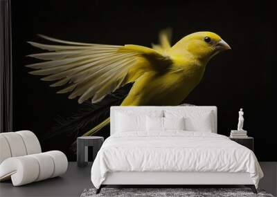   A yellow bird is flapping its wings in the air with them wide-spread Wall mural