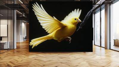   A yellow bird with open wings and wide-open eyes is flapping in the air Wall mural