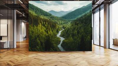   River runs through lush green forest under cloudy sky, mountains in distance Wall mural