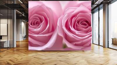 a close up of two pink roses on a white background with a blurry image of the center of the flower. Wall mural