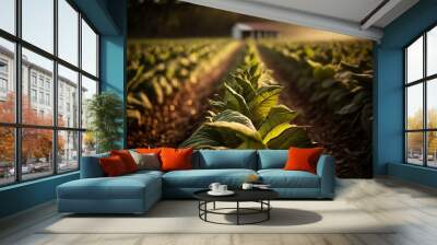 A lush tobacco plantation Wall mural