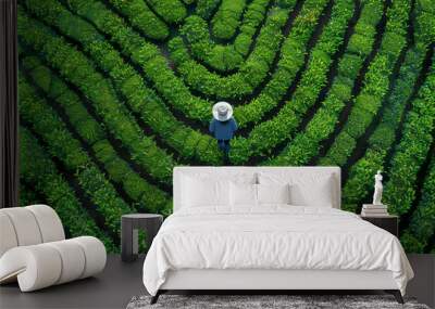 Aerial drone view of a person at tea plantation. Green field, 3d render Wall mural